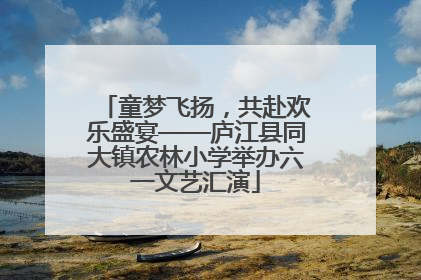 童梦飞扬，共赴欢乐盛宴——庐江县同大镇农林小学举办六一文艺汇演